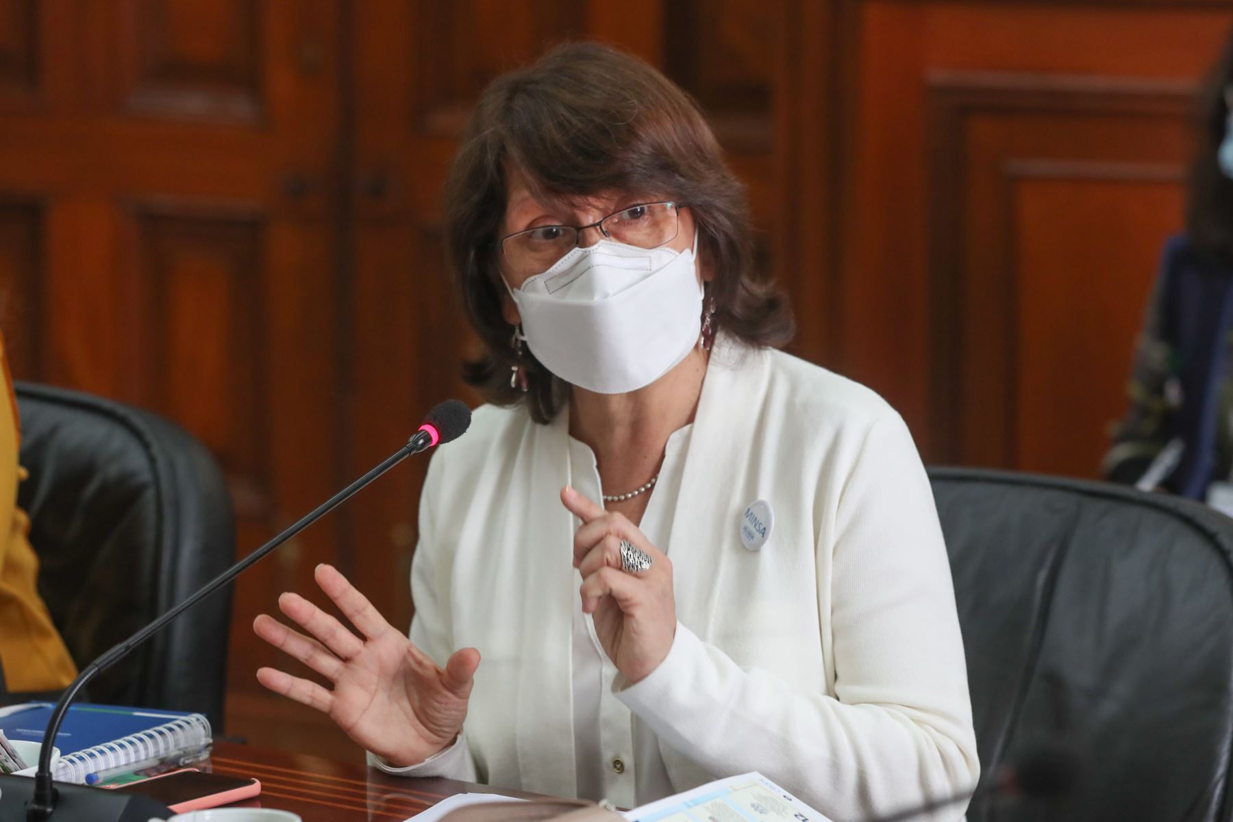 Health Minister Pilar Mazzetti. Photo: ANDINA/PCM