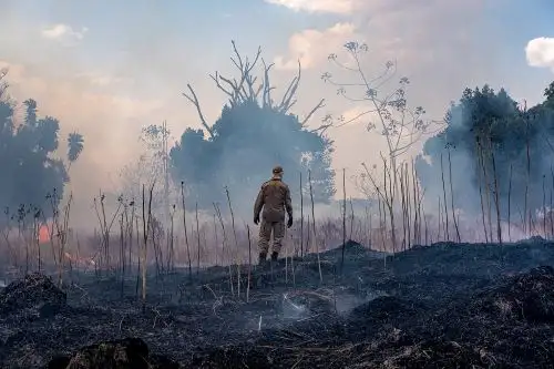 En Europa, la ola de calor de 2003 causó más de 72,000 decesos, y la de 2010 en Rusia mató a 55,000 personas, por lo que también se sitúan en destacado lugar en la lista de peores catástrofes de este siglo. Foto: AFP