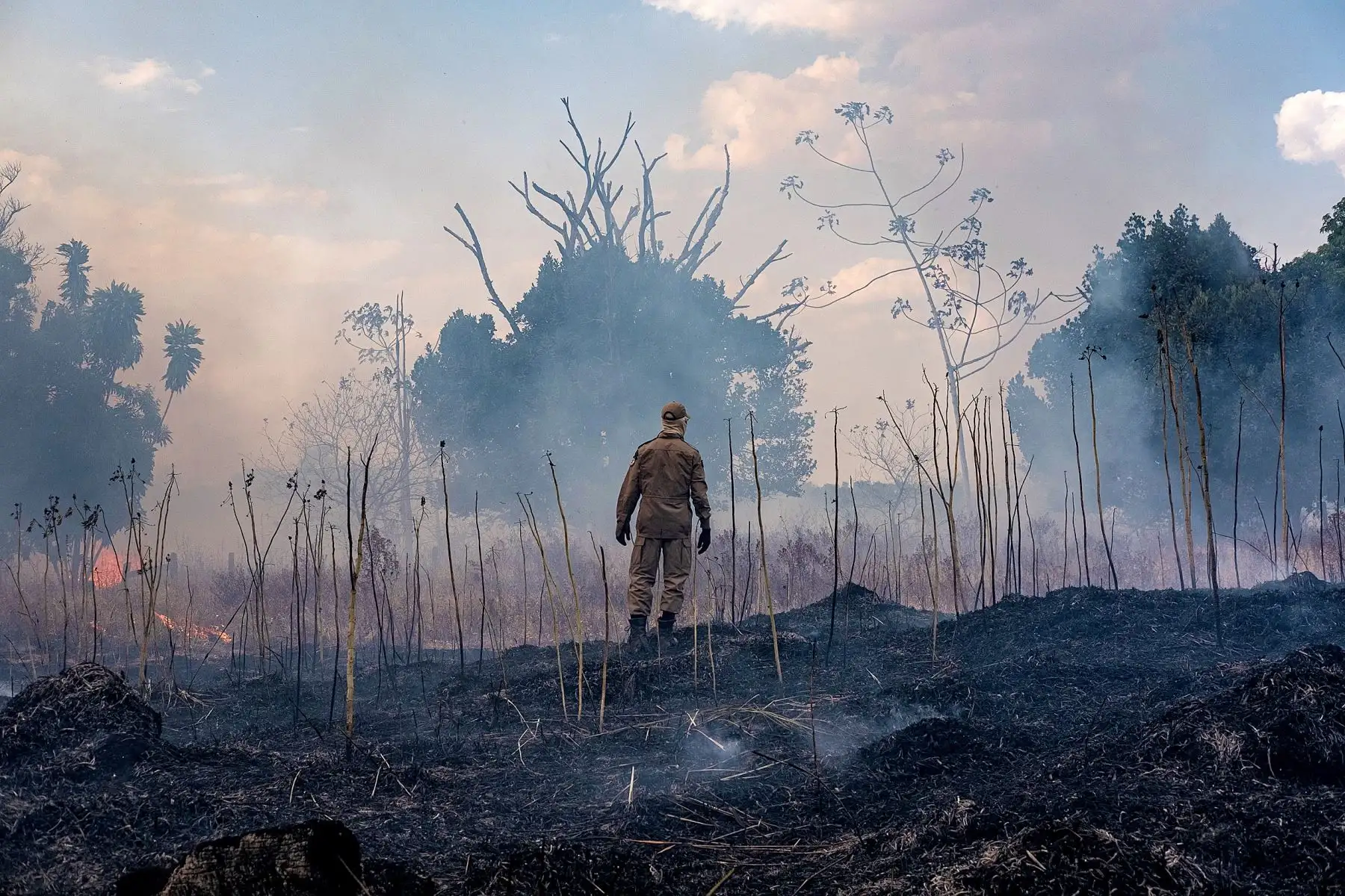 En Europa, la ola de calor de 2003 causó más de 72,000 decesos, y la de 2010 en Rusia mató a 55,000 personas, por lo que también se sitúan en destacado lugar en la lista de peores catástrofes de este siglo. Foto: AFP
