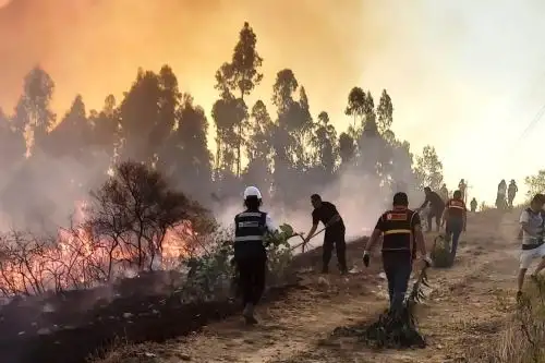 Serfor Cajamarca ha reportado 27 incendios forestales en la región norandina, en lo que va de octubre. Foto: ANDINA/Difusión