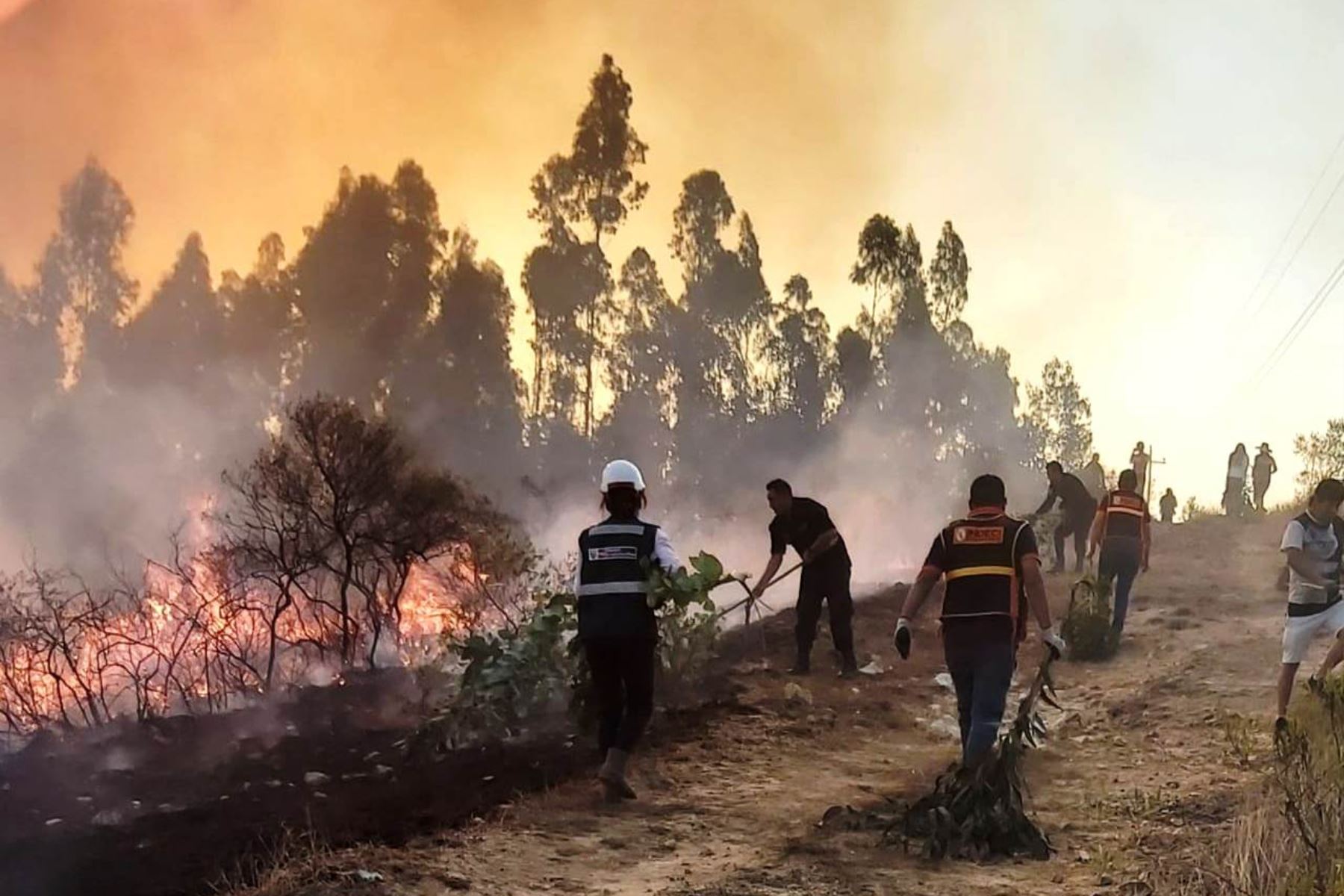 Serfor Cajamarca ha reportado 27 incendios forestales en la región norandina, en lo que va de octubre. Foto: ANDINA/Difusión