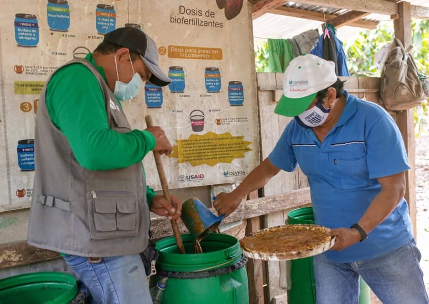 Productores cacaoteros de San Martín innovan con biofertilizantes que elaboran con melaza de caña de azúcar. ANDINA/Difusión