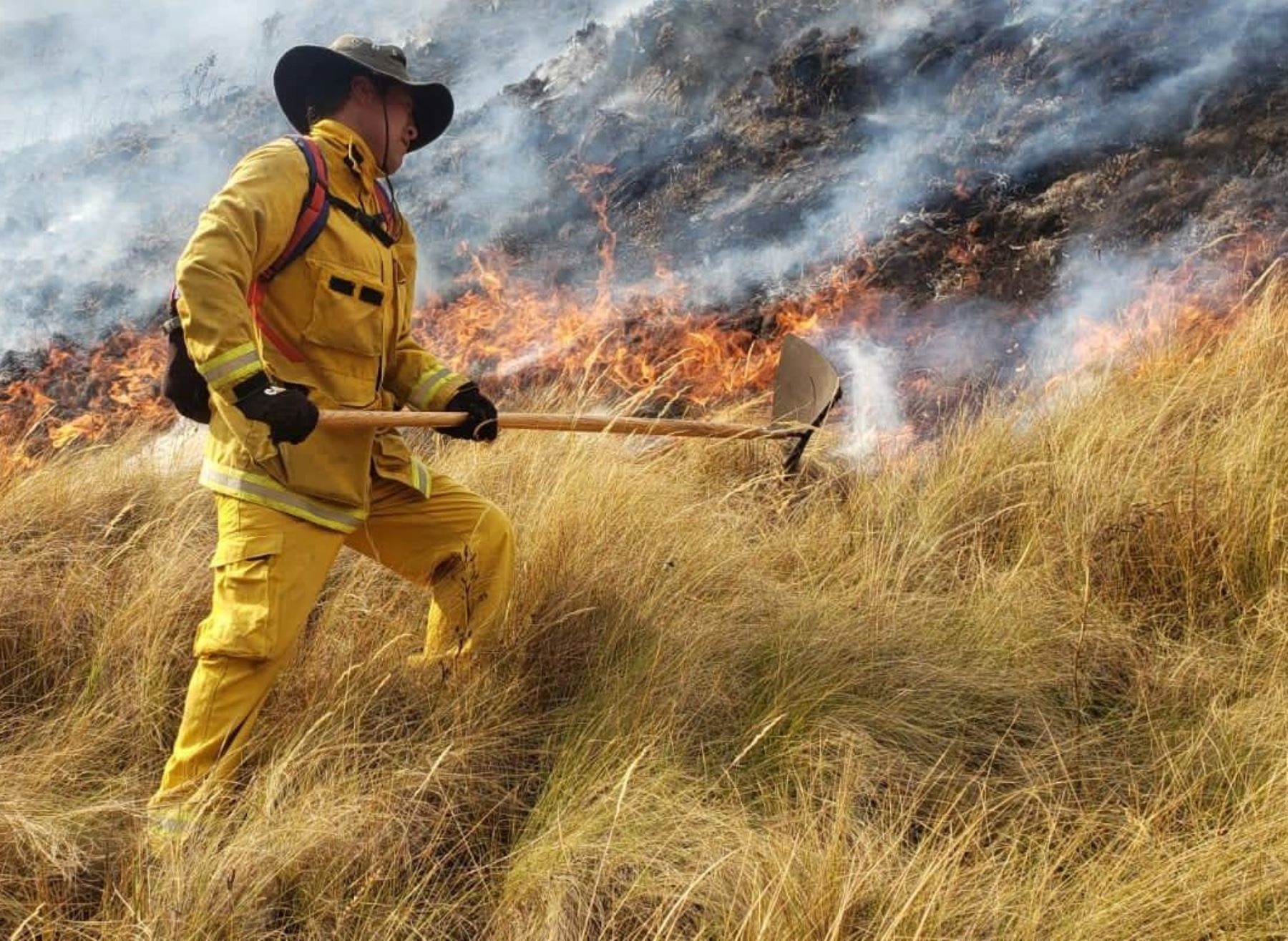 Incendio forestal arrasa con 82 hectáreas de pastos naturales en el Parque Nacional Huascarán, en la sierra de Áncash, informó el COER.