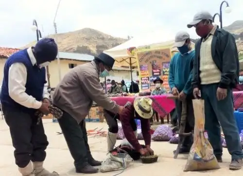 El Ministerio del Ambiente reconoció el aporte de los agricultores de Huancavelica por recuperar variedades de papas nativas que se encuentran en peligro de extinción.