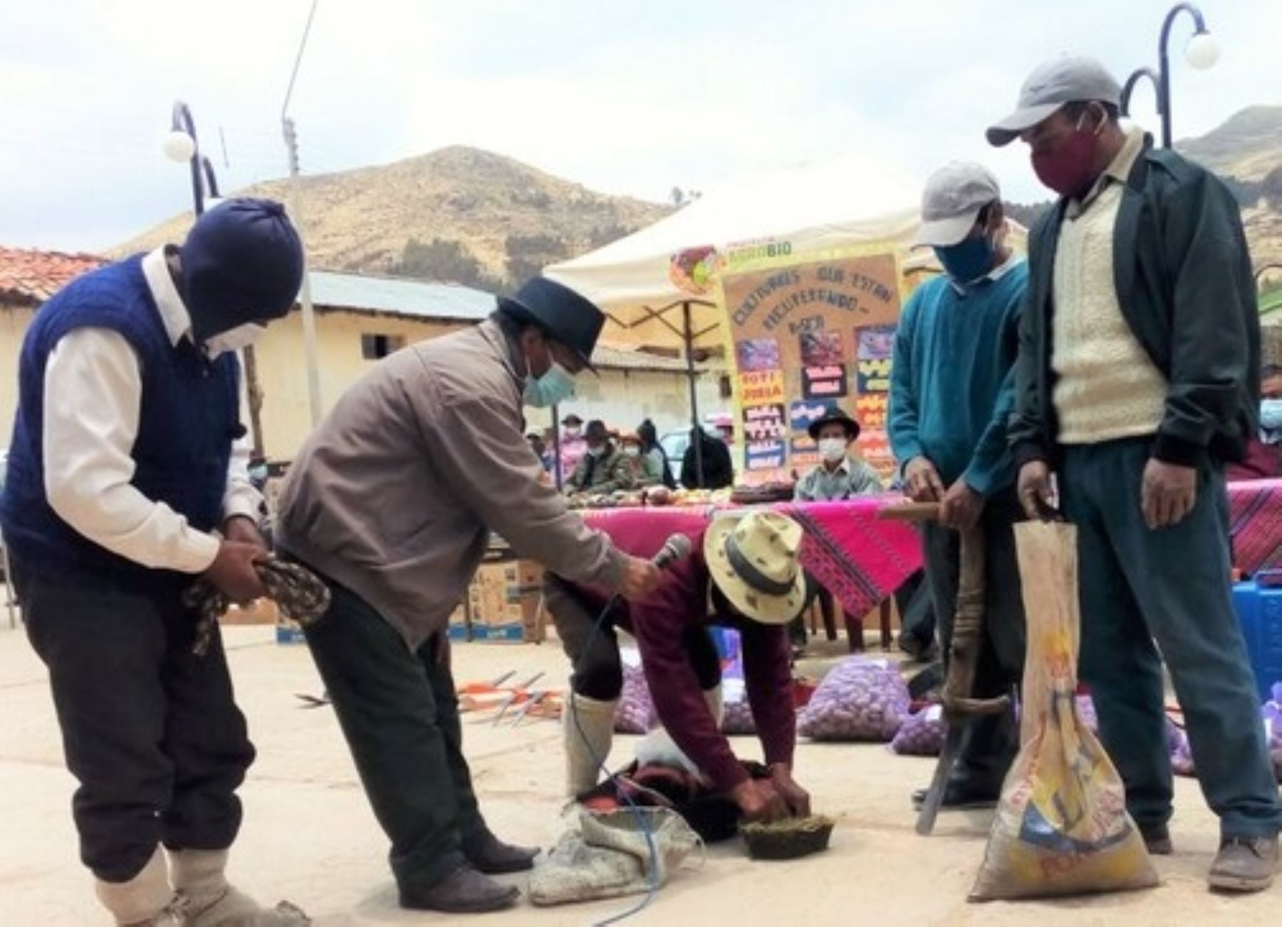 El Ministerio del Ambiente reconoció el aporte de los agricultores de Huancavelica por recuperar variedades de papas nativas que se encuentran en peligro de extinción.