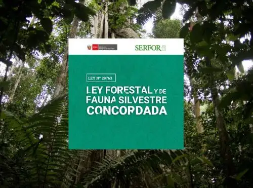 Serfor lanza novedoso aplicativo digital que facilita acceso a normativa forestal y de fauna silvestre. ANDINA/Difusión