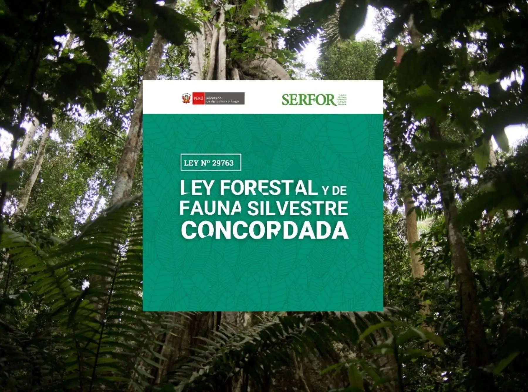 Serfor lanza novedoso aplicativo digital que facilita acceso a normativa forestal y de fauna silvestre. ANDINA/Difusión