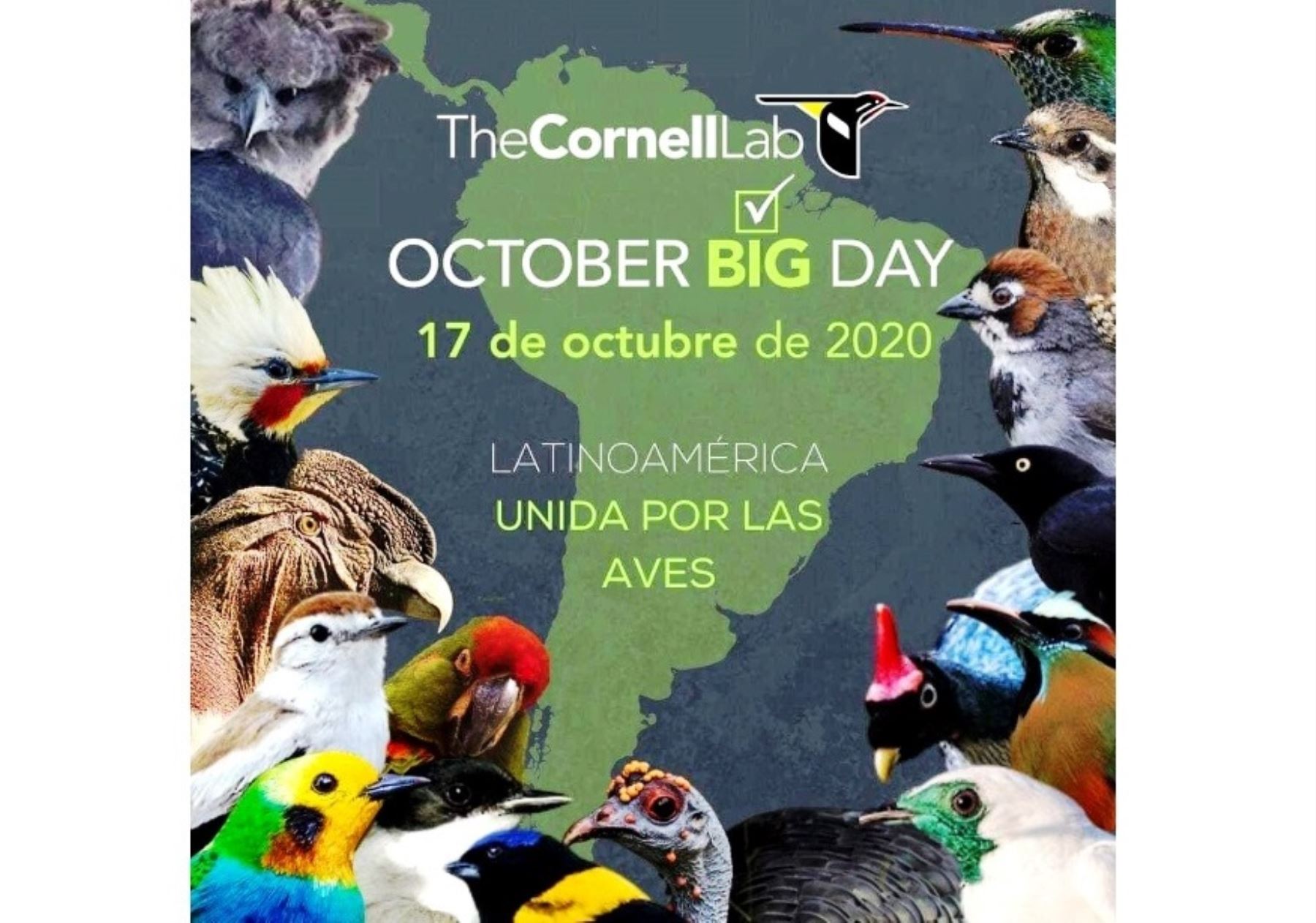 Cajamarca se prepara para participar de concurso mundial de observación de aves que se desarrollará mañana sábado 17 de octubre. La competencia será bajo una nueva modalidad pospandemia de covid-19.