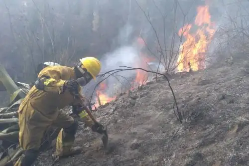 Efectivos de la Policía Nacional, trabajadores municipales y lugareños hacen denodados esfuerzos para evitar que el fuego se propague. Foto: ANDINA/Difusión