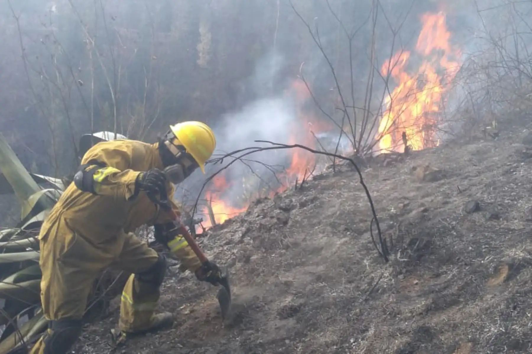 Efectivos de la Policía Nacional, trabajadores municipales y lugareños hacen denodados esfuerzos para evitar que el fuego se propague. Foto: ANDINA/Difusión