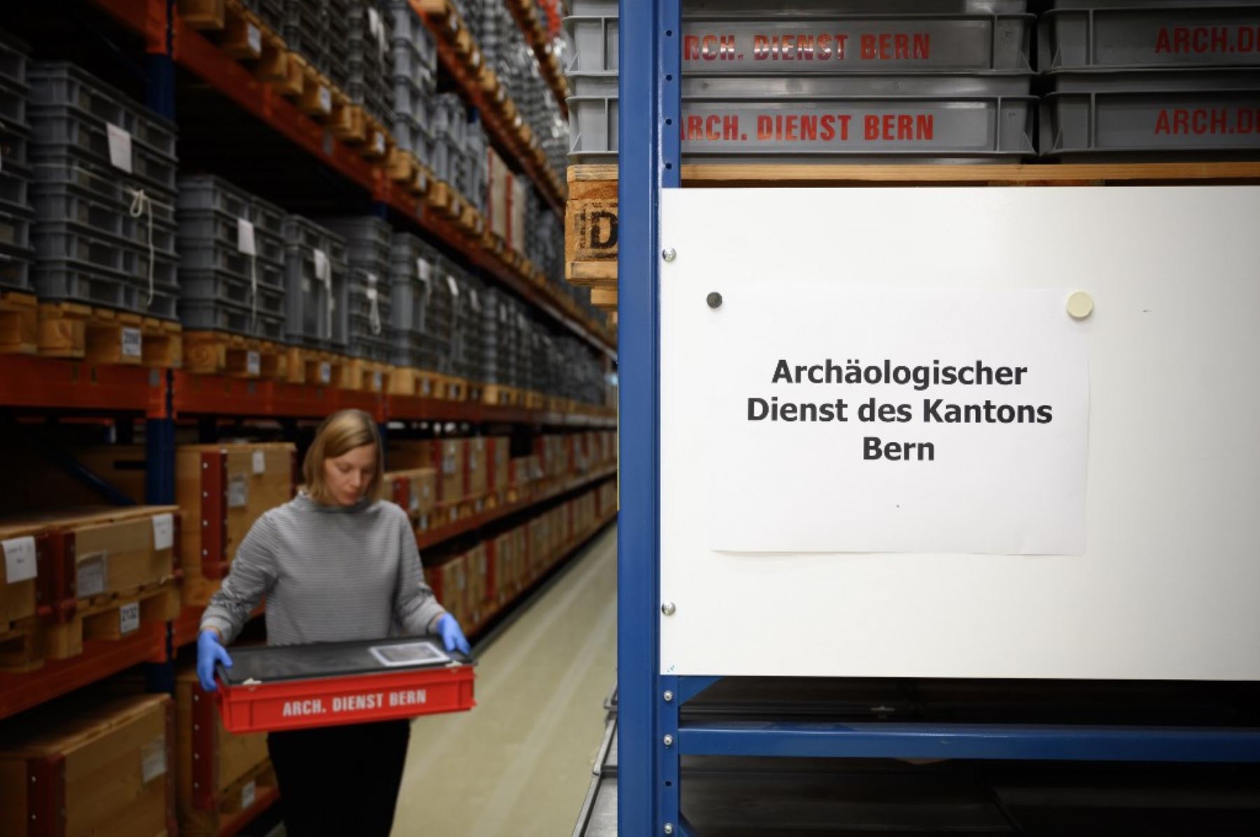 Una imagen tomada en Berna muestra a la curadora Johanna Kluegl sosteniendo una caja en el almacén del Servicio Arqueológico del cantón suizo de Berna. Foto: AFP
