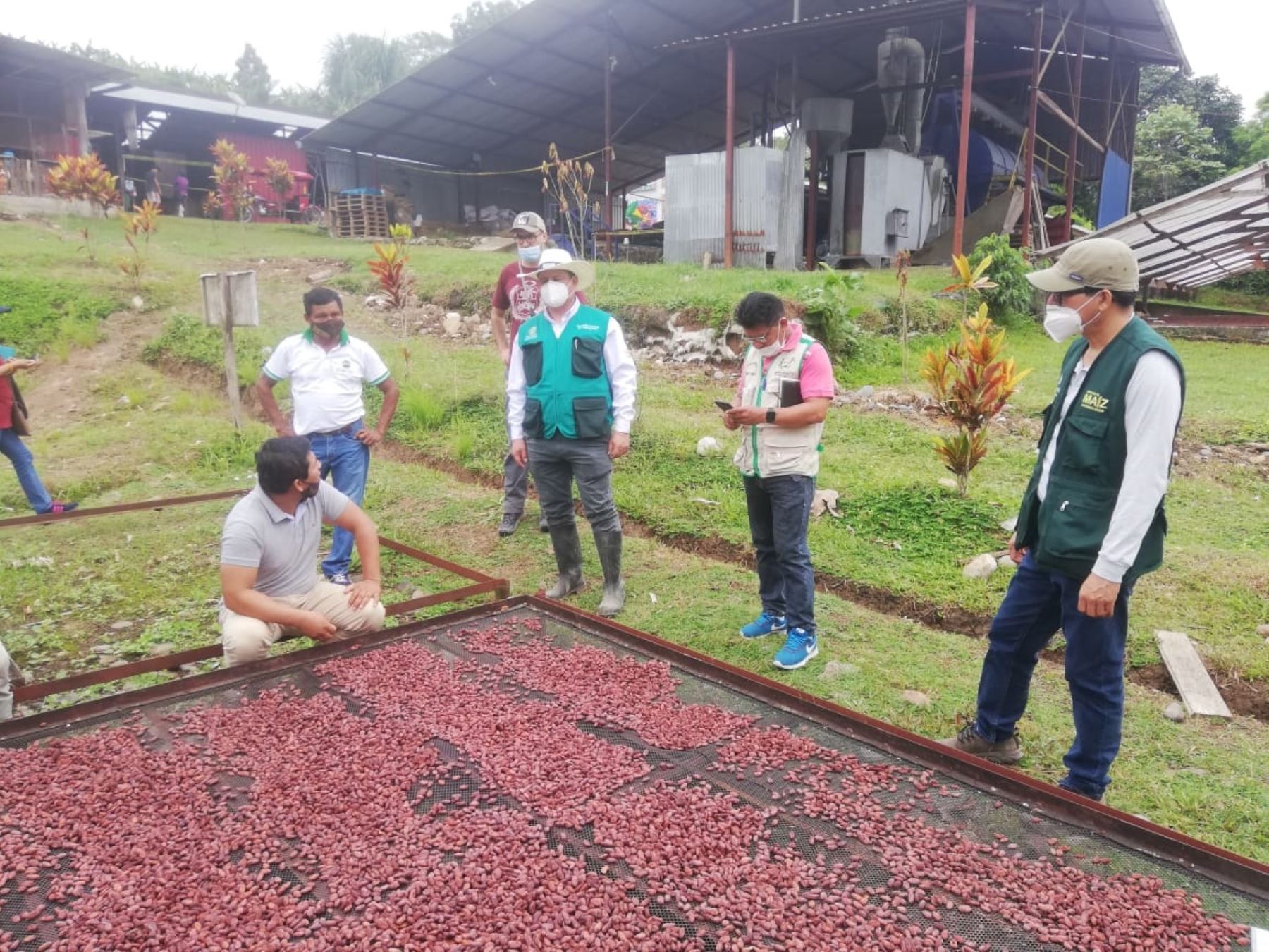 La región San Martín elabora una nueva ruta agroturística del cacao en el tradicional distrito de Chazuta que destaca por su artesanía.