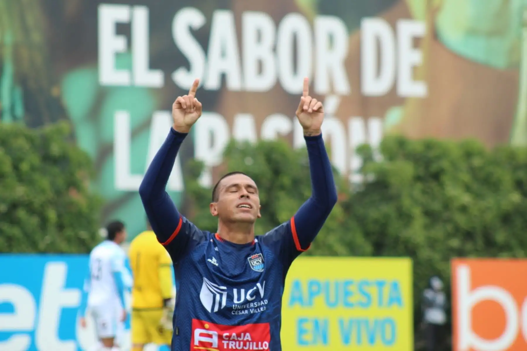 UCV y Deportivo Llacuabamba se enfrentan por la jornada 19 de la Liga 1, en el estadio Iván Elías Moreno. Foto: Liga 1