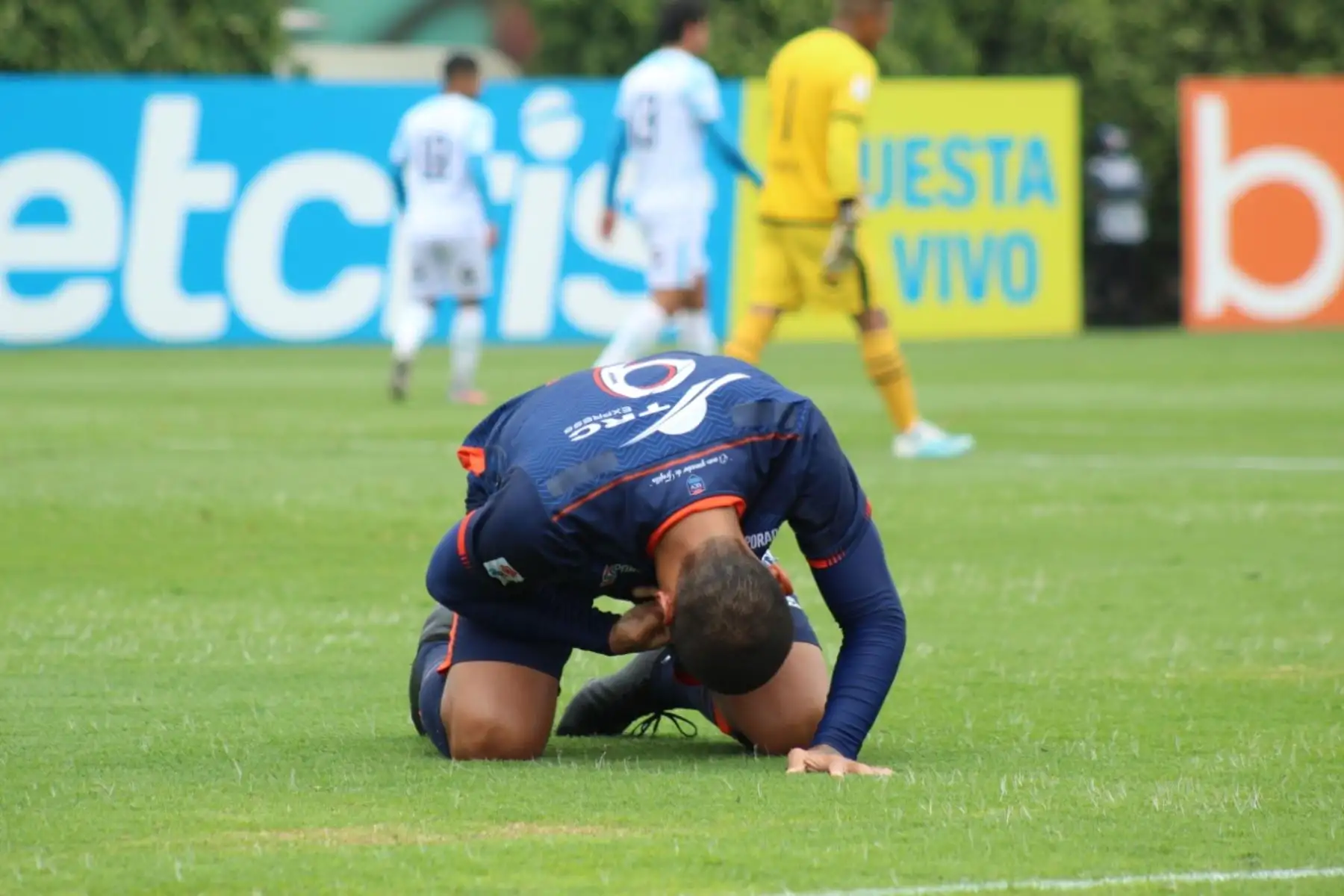 UCV y Deportivo Llacuabamba se enfrentan por la jornada 19 de la Liga 1, en el estadio Iván Elías Moreno. Foto: Liga 1