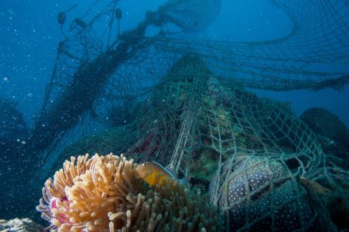 Las redes de pesca abandonadas afecta la vida marina. Foto: ANDINA/ WWF