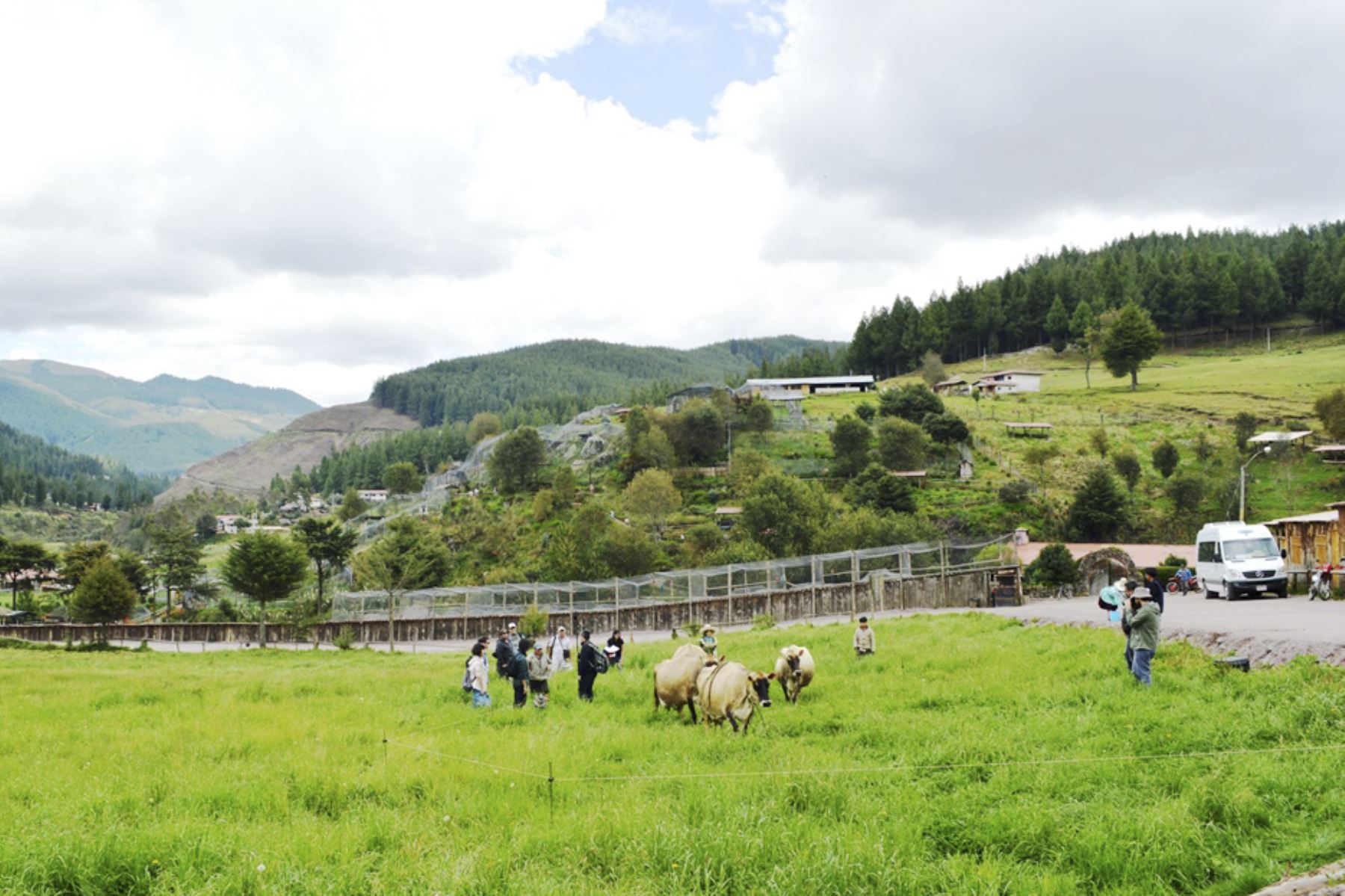 La Granja Porcón (Cajamarca) es un ejemplo exitoso de una cooperativa comunal dedicada al agroturismo. Foto: ANDINA/Difusión