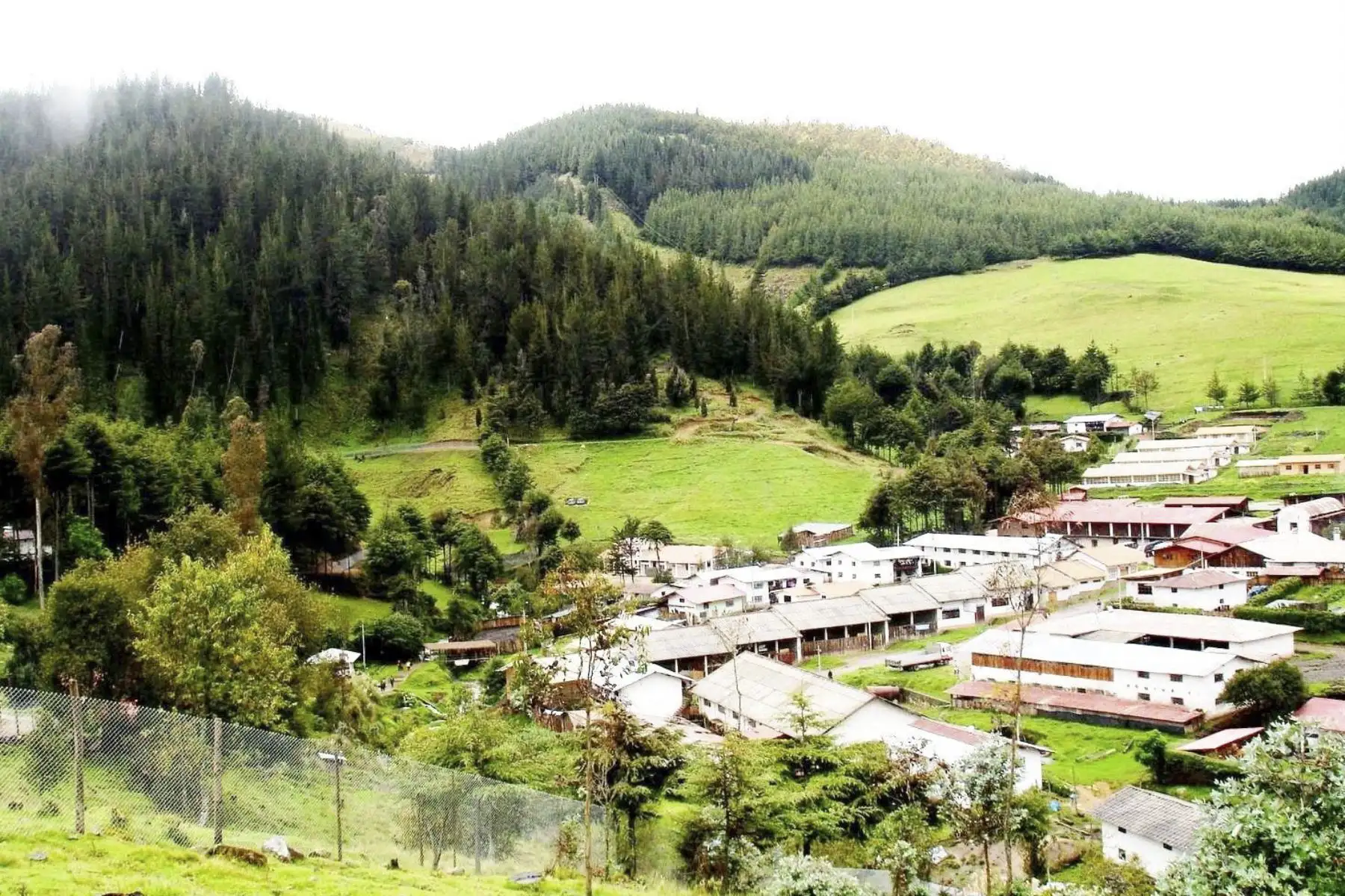 El modelo de negocio del emprendimiento de hongos comestibles aplicado en la Granja Porcón causa mucho interés. Foto: ANDINA/Difusión
