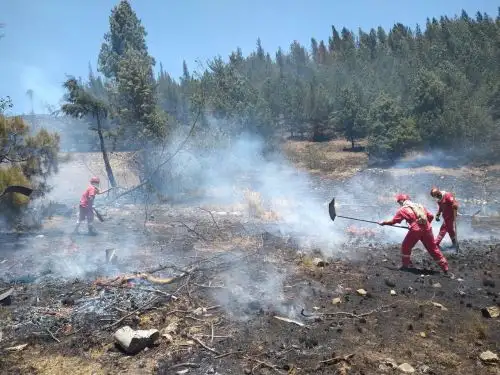 Miembros de la Policía Nacional del Perú y pobladores lograron extinguir dos incendios forestales iniciados la mañana del 13 de noviembre en los distritos de María Parado de Bellido, en la provincia ayacuchana de Cangallo, y de Paccaritambo, en la provincia cusqueña de Paruro, informó el Centro de Operaciones de Emergencia Nacional (COEN). ANDINA/Difusión