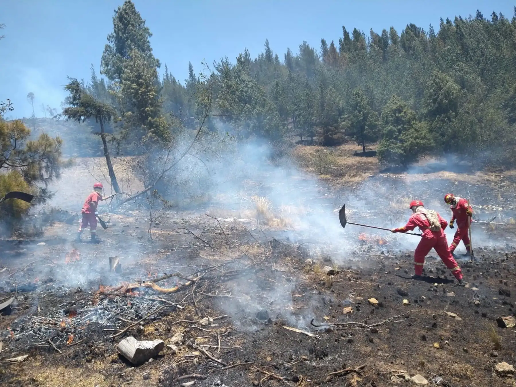 Serfor capacita a 100 especialistas de regiones sobre cómo prevenir los incendios forestales. ANDINA/Difusión