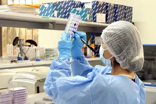 No existe capacidad para inocular un chip. Esa idea no tiene mayor fundamento porque el cuerpo rechaza cualquier sustancia que desconoce, señala experto. Foto:  ANDINA/Difusión