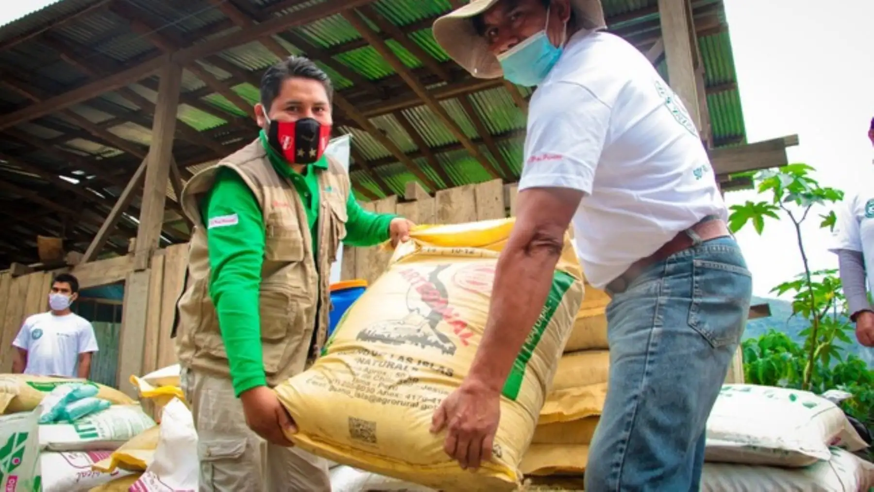 Devida adquirió 520 toneladas de guano de isla (10,400 sacos) y 640 toneladas de compost orgánico y otros fertilizantes. Foto: ANDINA/Difusión
