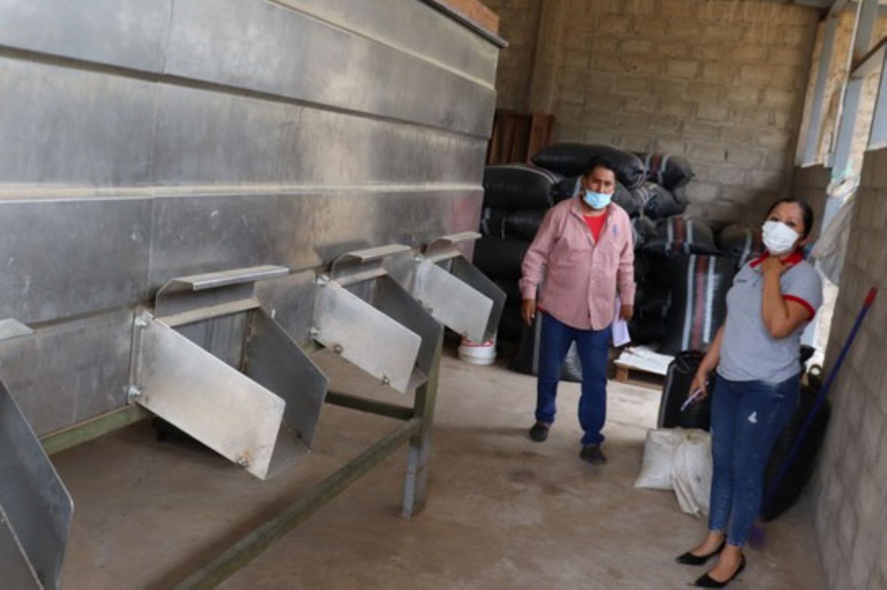 Se invertirán más de 700,000 soles en productores de castaña de la región Madre de Dios. Foto: ANDINA/Difusión