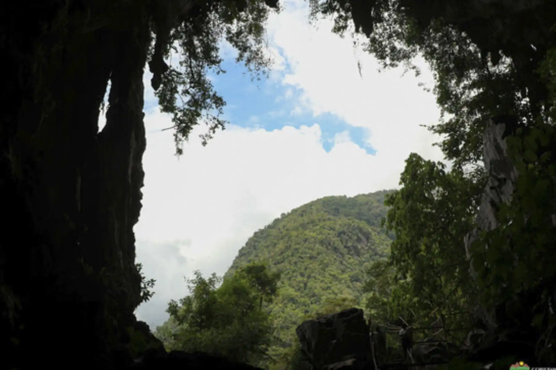 Tras ocho meses de cierre por los efectos de la pandemia, el parque nacional Tingo María reabre sus puertas al público con visitas guiadas a la Cueva de las Lechuzas, Tres de Mayo y Quinceañera. Con este evento, el gobierno regional de Huánuco inicia la apertura de la actividad turística para reactivar la economía en el sector. Foto: ANDINA/Difusión