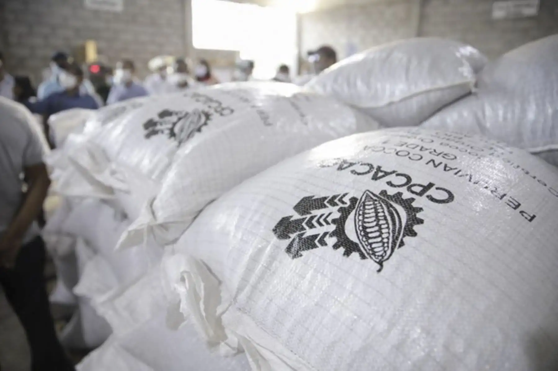 El ministro de la Producción, José Salardi Rodríguez, junto al gobernador regional de San Martín, Pedro Bogarín, recorrieron las instalaciones de la cooperativa CP Cacao de Nuevo Horizonte, ubicada en Tocache. Foto: Produce