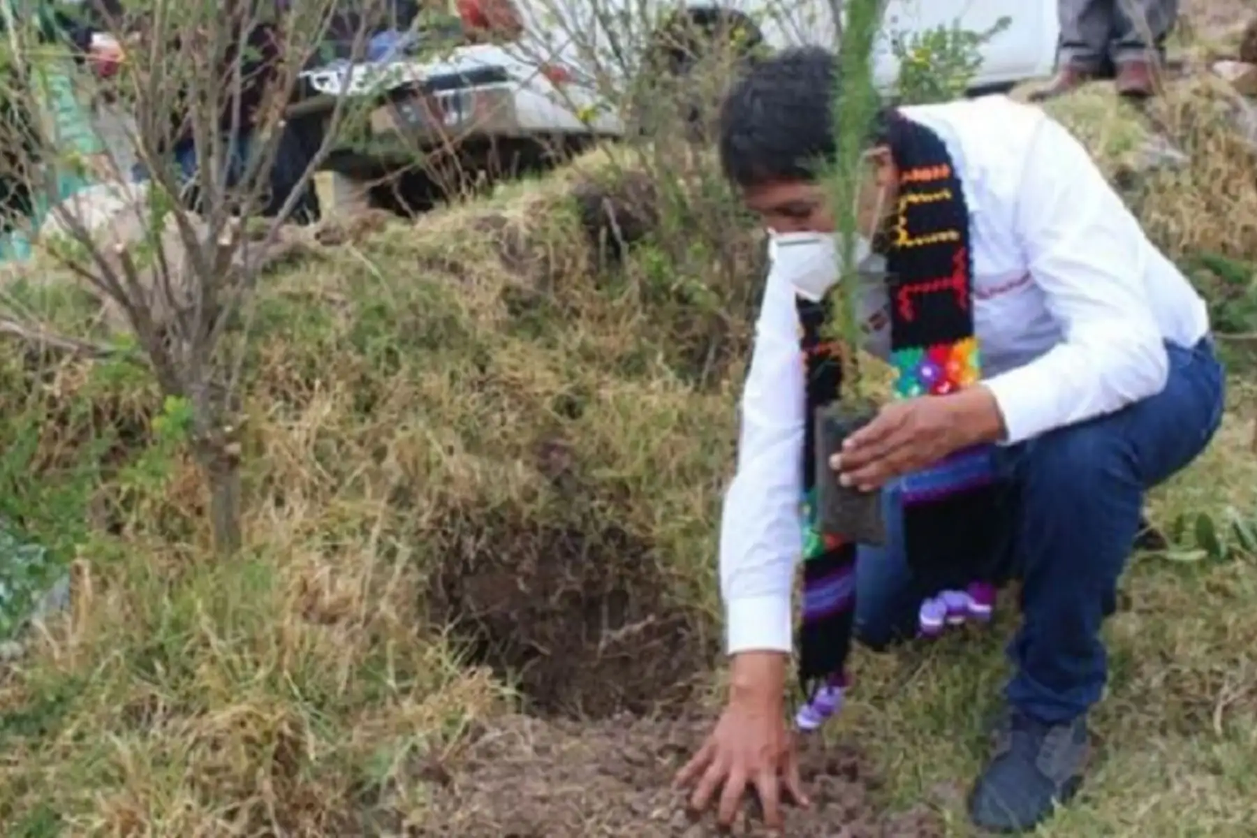 Minagri pone en marcha proyecto de reforestación en el distrito de Julcamarca, en la provincia de Angaraes, región Huancavelica. Foto: Minagri