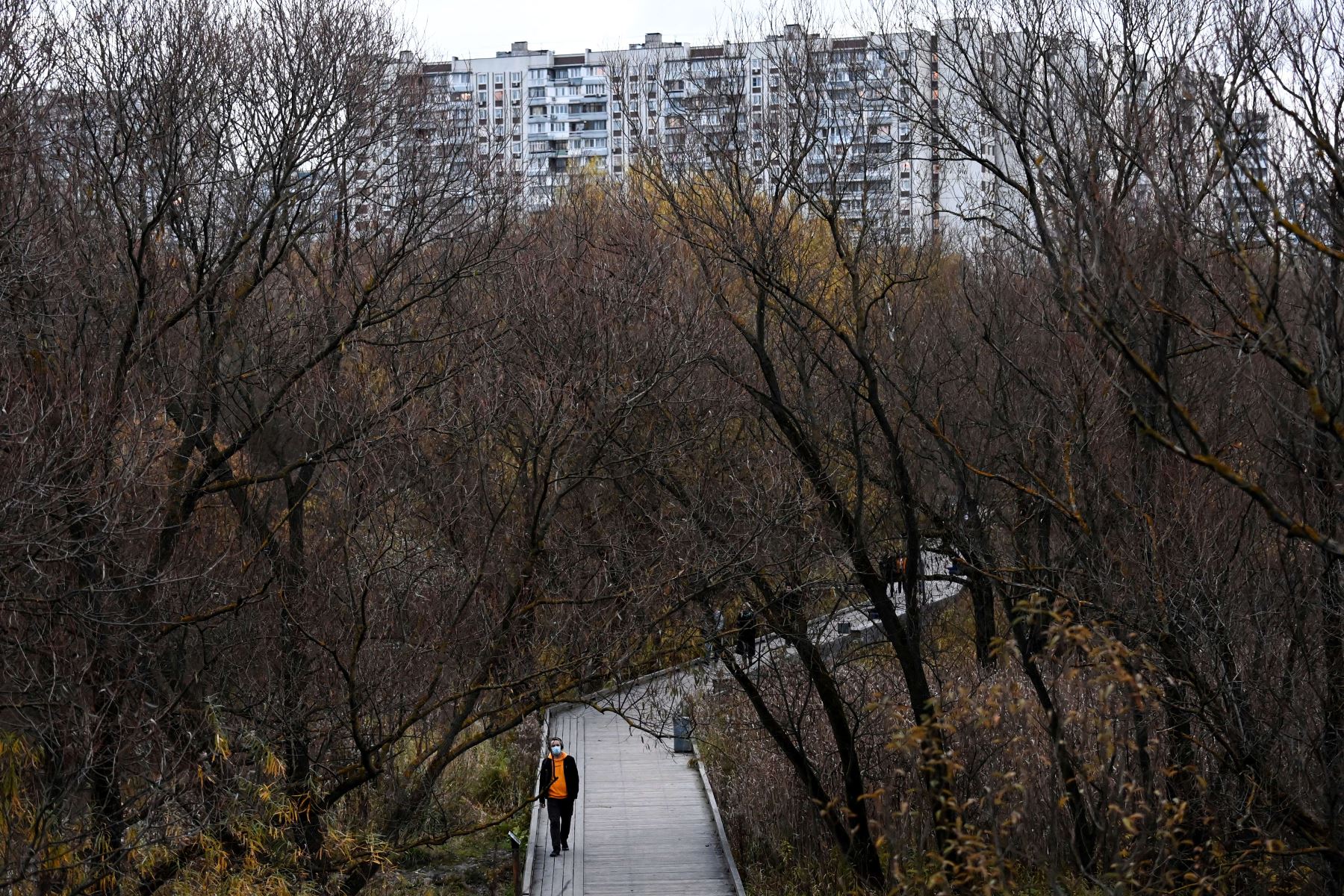 Un hombre con mascarilla protectora camina en un parque en Moscú en medio de la pandemia. Foto: AFP