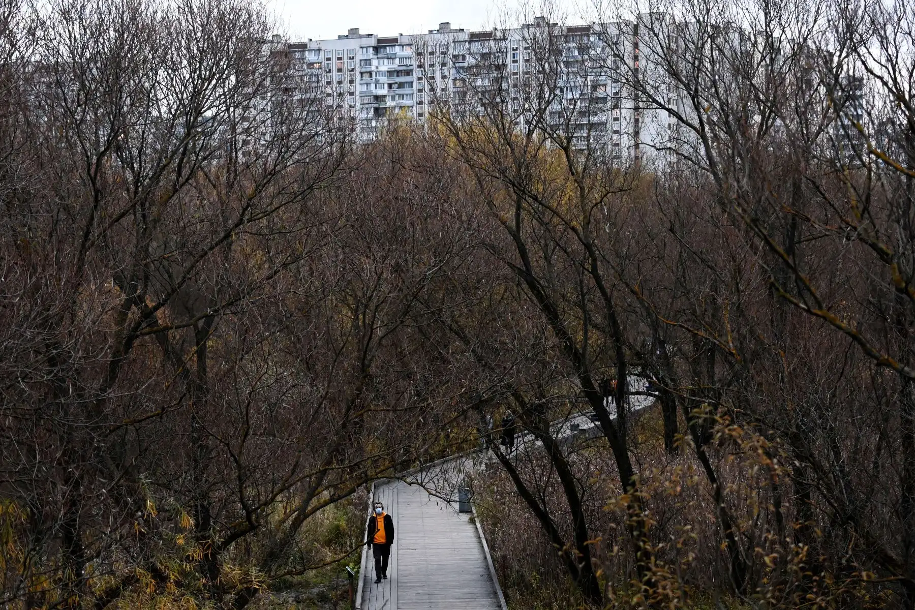 Un hombre con mascarilla protectora camina en un parque en Moscú en medio de la pandemia. Foto: AFP