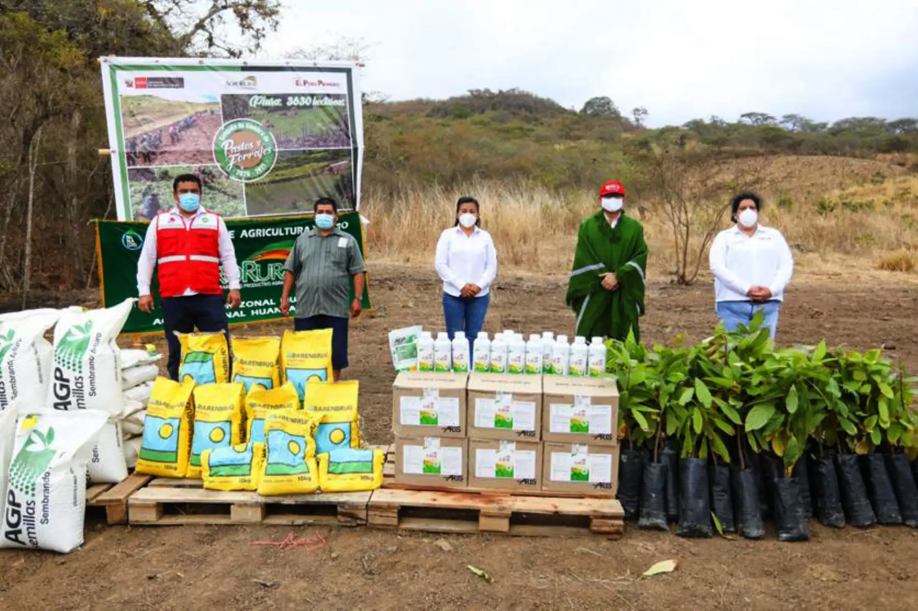 El  ministro de Agricultura, Jorge Montenegro, estuvo en el distrito de Lalaquiz en la provincia de Huancabamba, donde con el apoyo de agrorural, participó de una siembra simbólica como parte del lanzamiento de la Campaña de Pastos 2020 - 2021 en Piura Foto: ANDINA/.