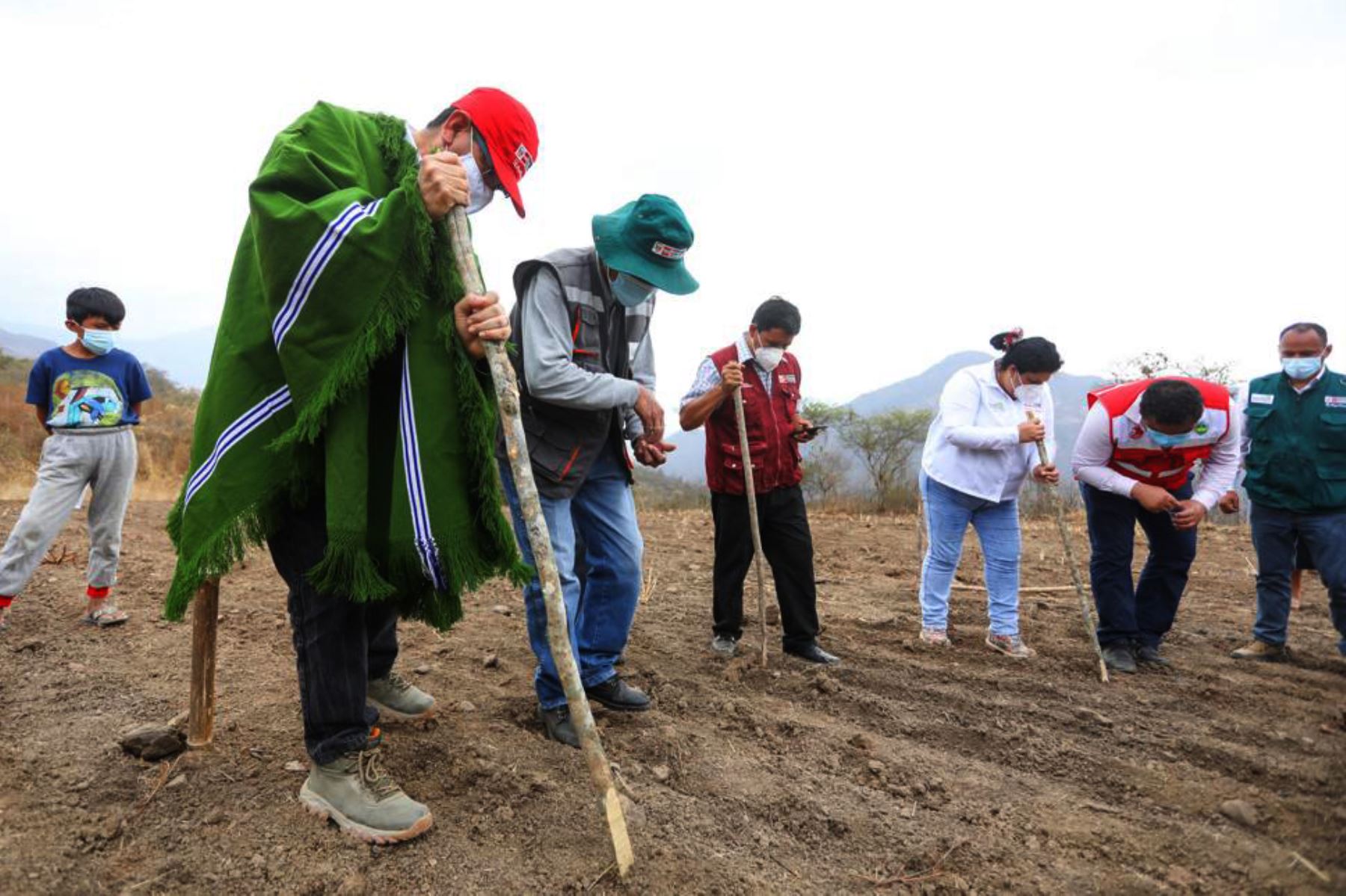El  ministro de Agricultura, Jorge Montenegro, estuvo en el distrito de Lalaquiz en la provincia de Huancabamba, donde con el apoyo de agrorural, participó de una siembra simbólica como parte del lanzamiento de la Campaña de Pastos 2020 - 2021 en Piura Foto: ANDINA/.