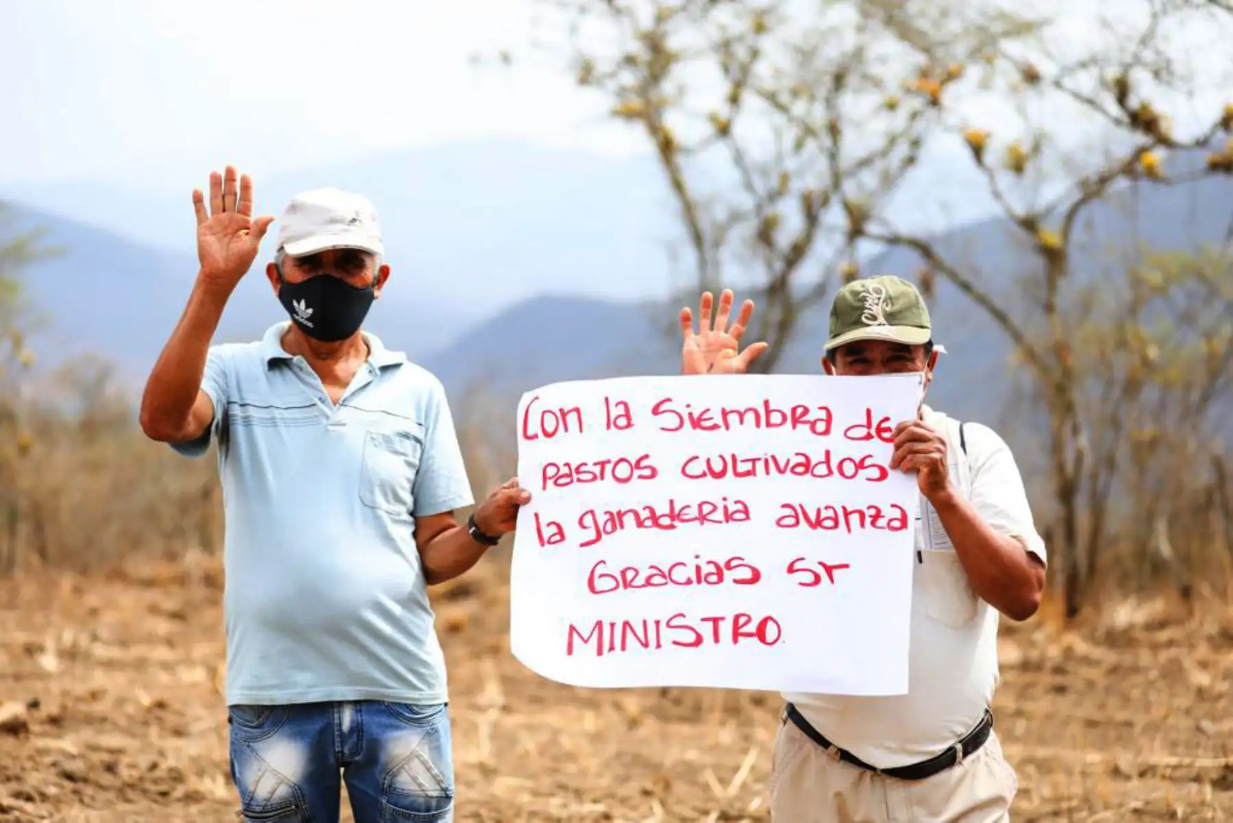 El  ministro de Agricultura, Jorge Montenegro, estuvo en el distrito de Lalaquiz en la provincia de Huancabamba, donde con el apoyo de agrorural, participó de una siembra simbólica como parte del lanzamiento de la Campaña de Pastos 2020 - 2021 en Piura Foto: ANDINA/.