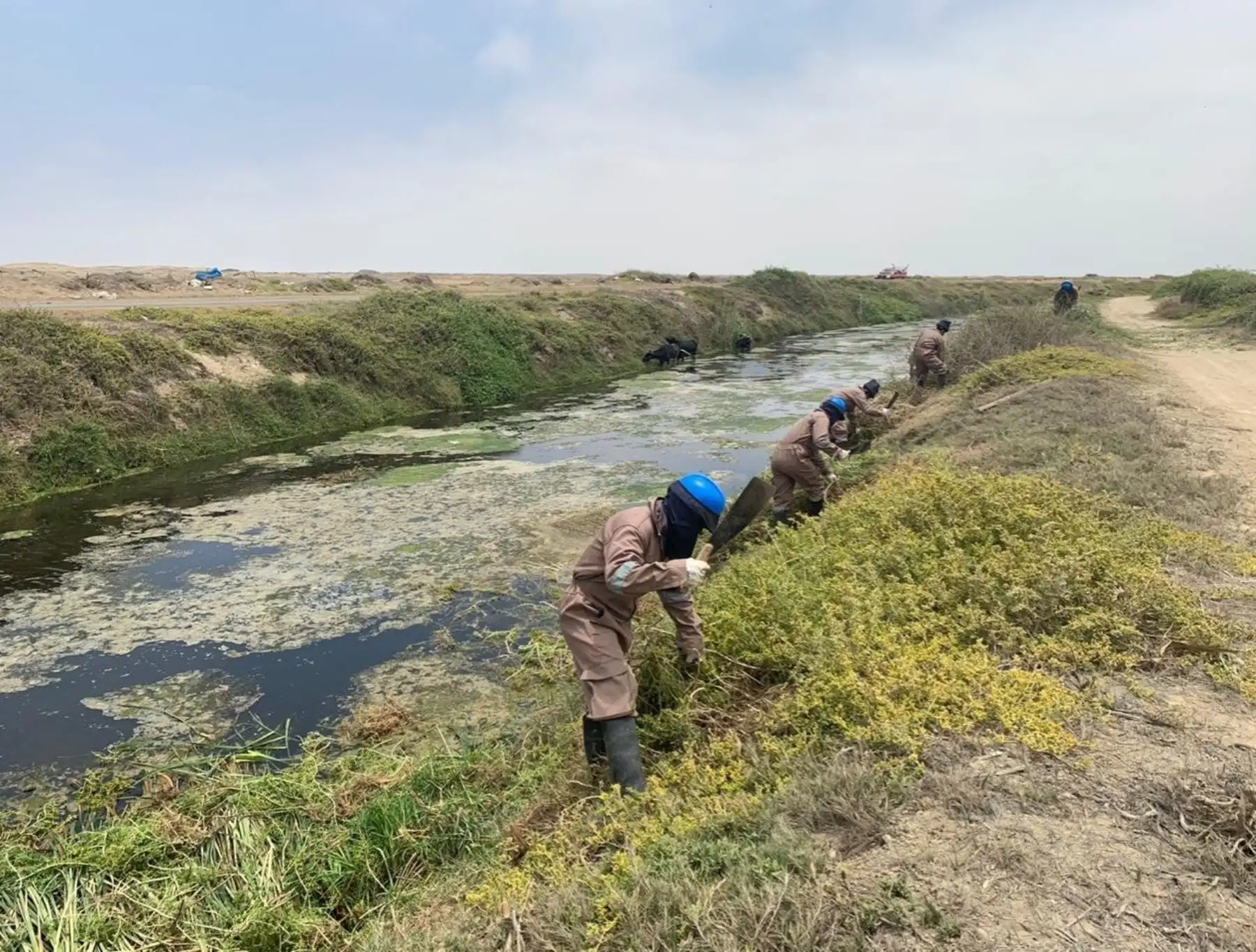 Lambayeque ejecuta el mantenimiento y limpieza de 80 kilómetros de drenes ante inicio de temporada de lluvias. ANDINA/Difusión