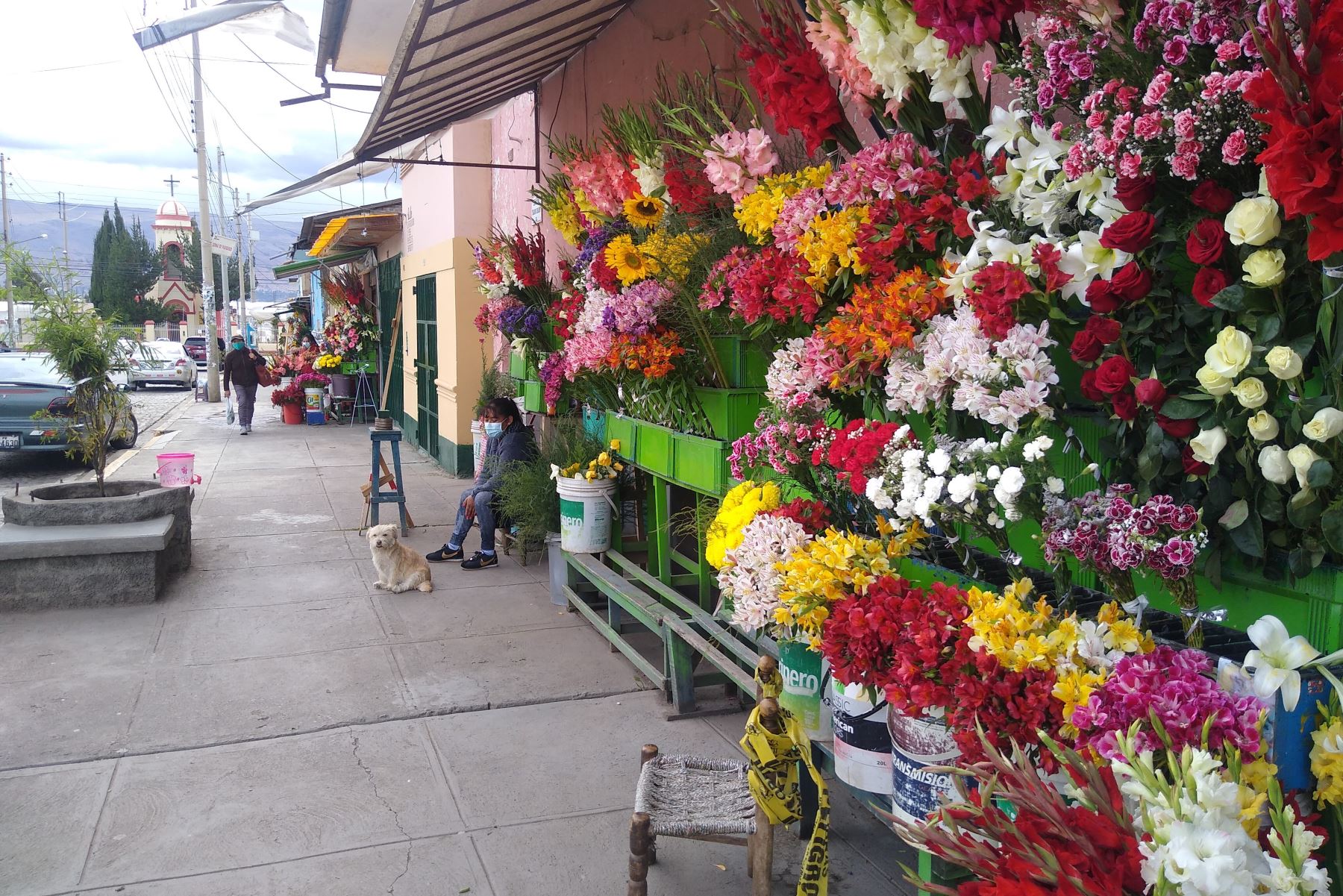 En Huancayo, comerciantes de flores piden a las autoridades locales la reapertura de los cementerios con protocolos de bioseguridad. Foto: ANDINA/Difusión