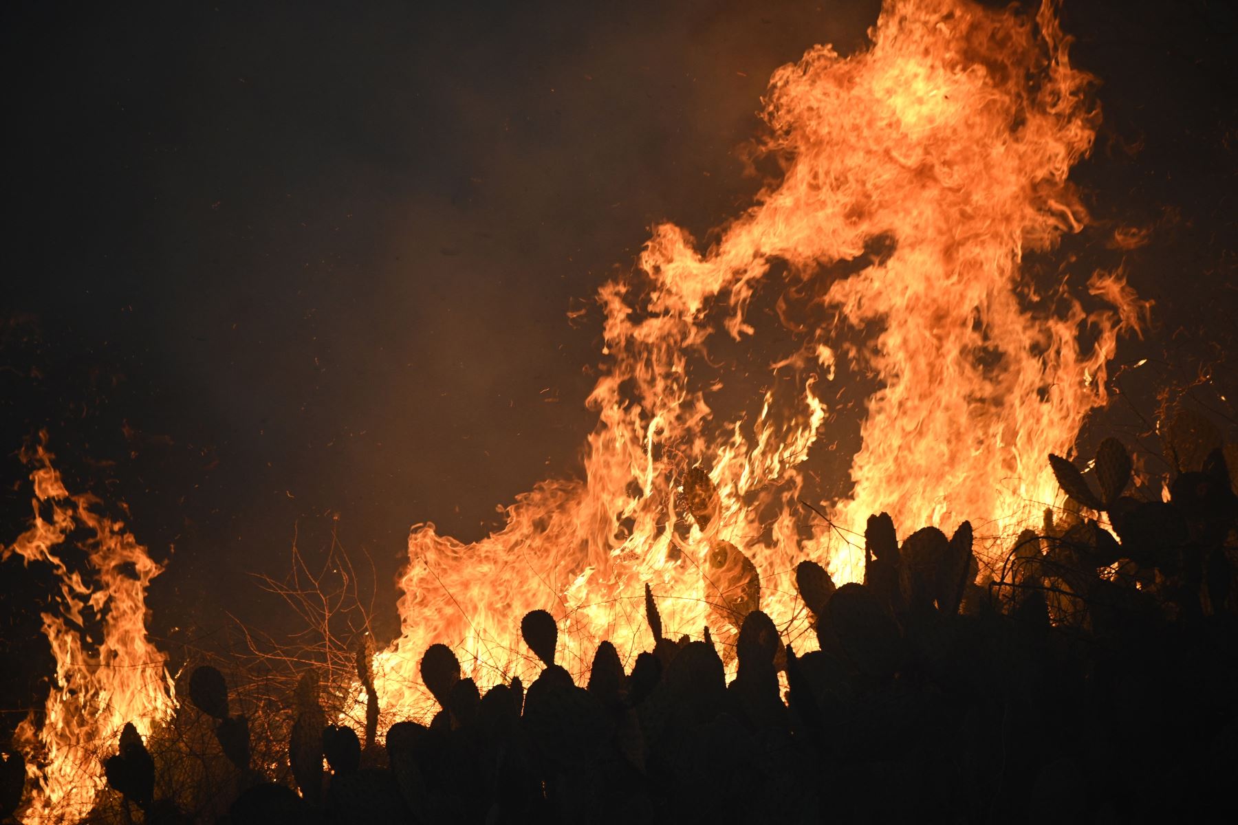 La plantación arde en Yorba Linda, California. Foto: AFP