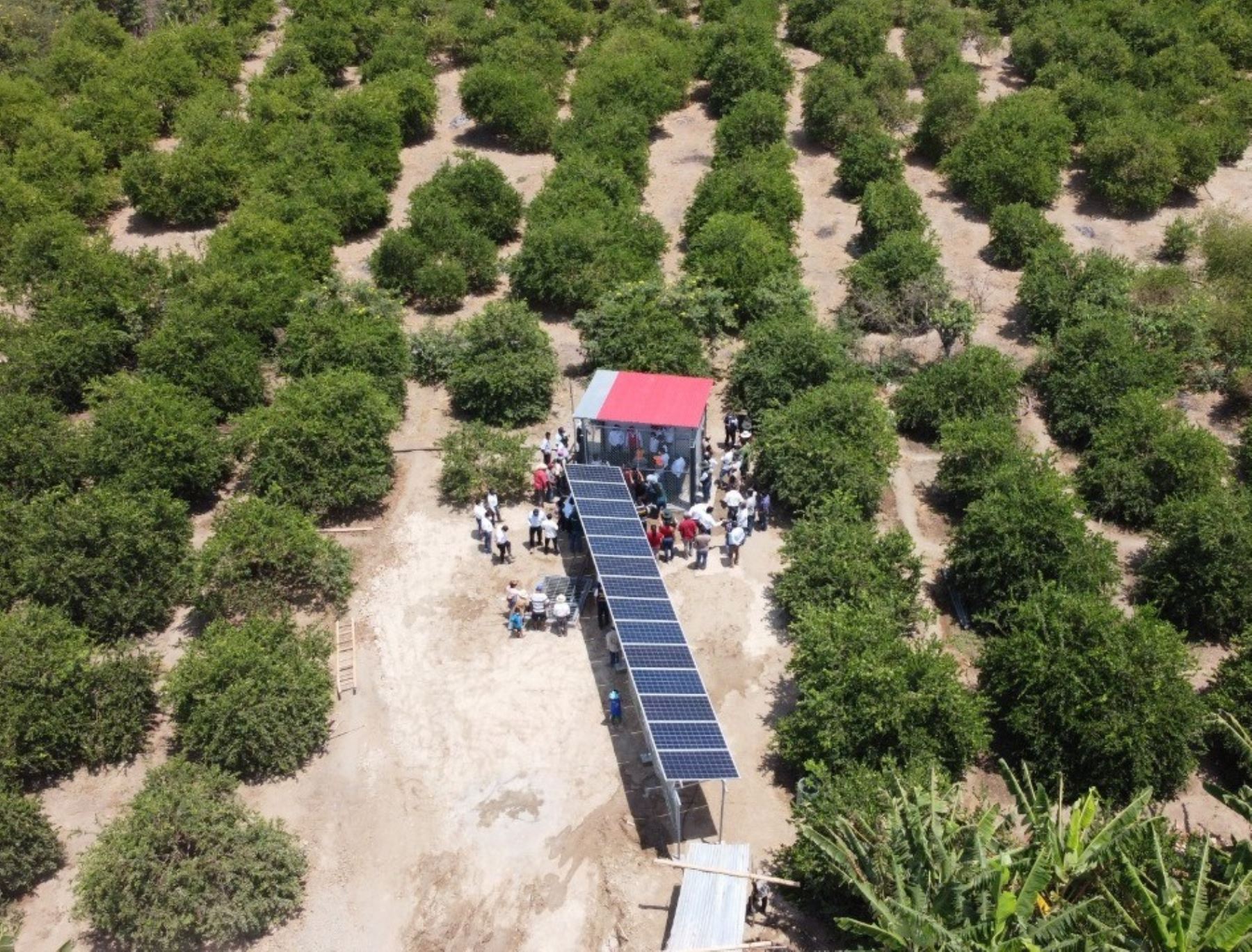 Agro Rural implementó en Tumbes un novedoso sistema de riego con paneles solares para garantizar el abastecimiento de agua en zonas de cultivo. ANDINA/Difusión
