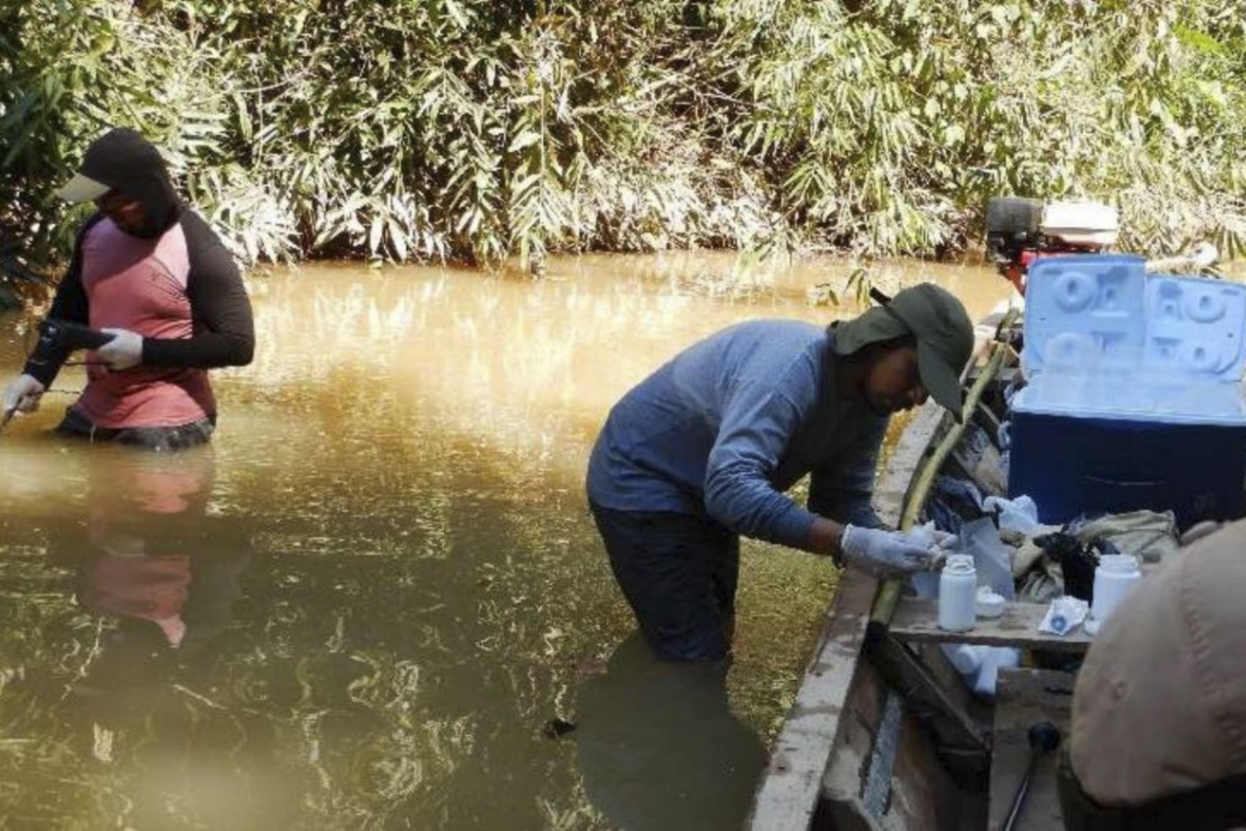 Especialistas del Ingemmet han hecho muestreo de 10 estaciones de aguas superficiales y 6 sedimentos en la comunidad de contacto inicial Santa Rosa de Serjali, región Ucayali. Foto: ANDINA/Difusión