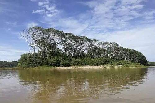 Especialistas del Ingemmet han hecho muestreo de 10 estaciones de aguas superficiales y 6 sedimentos en la comunidad de contacto inicial Santa Rosa de Serjali, región Ucayali. Foto: ANDINA/Difusión