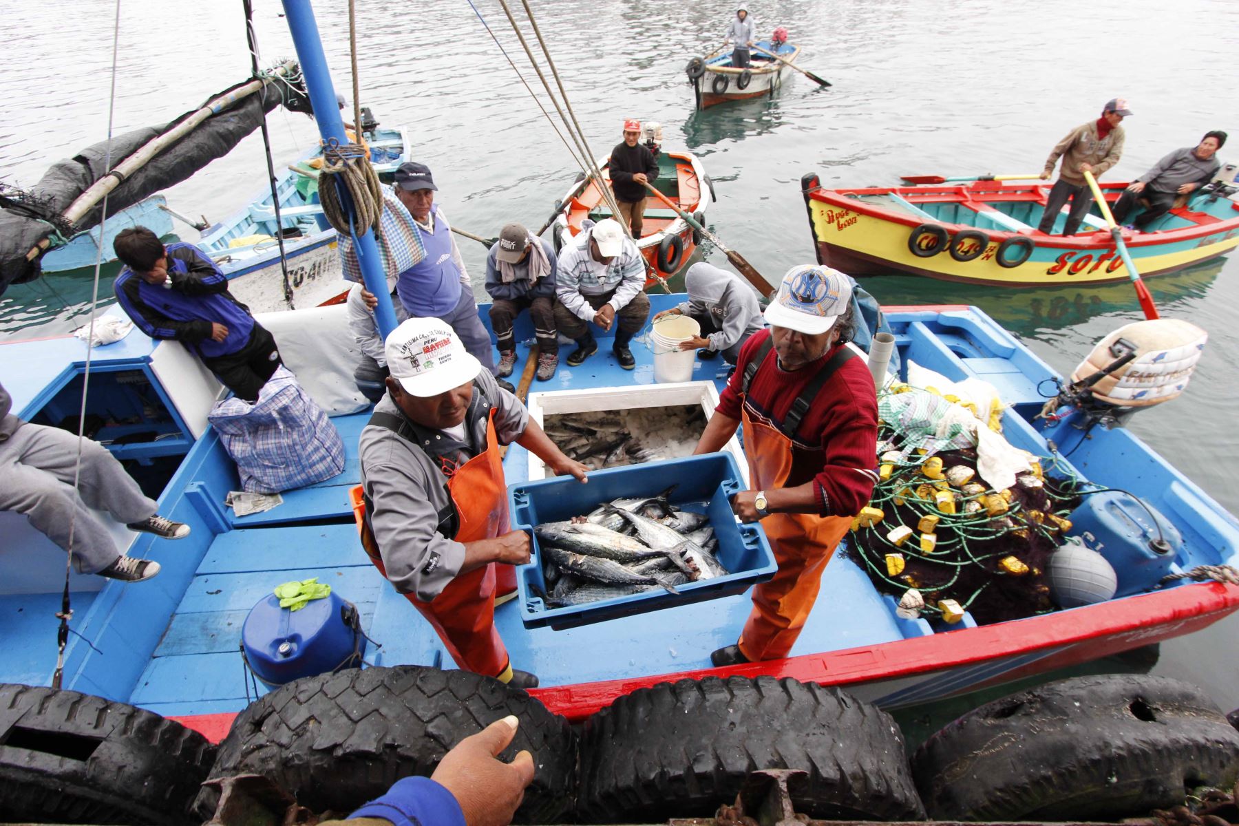 El Ministerio de la Producción anunció que este año se pondrá en marcha ocho nuevos desembarcaderos artesanales en seis regiones que beneficiará a 36,000 pescadores. ANDINA/Difusión