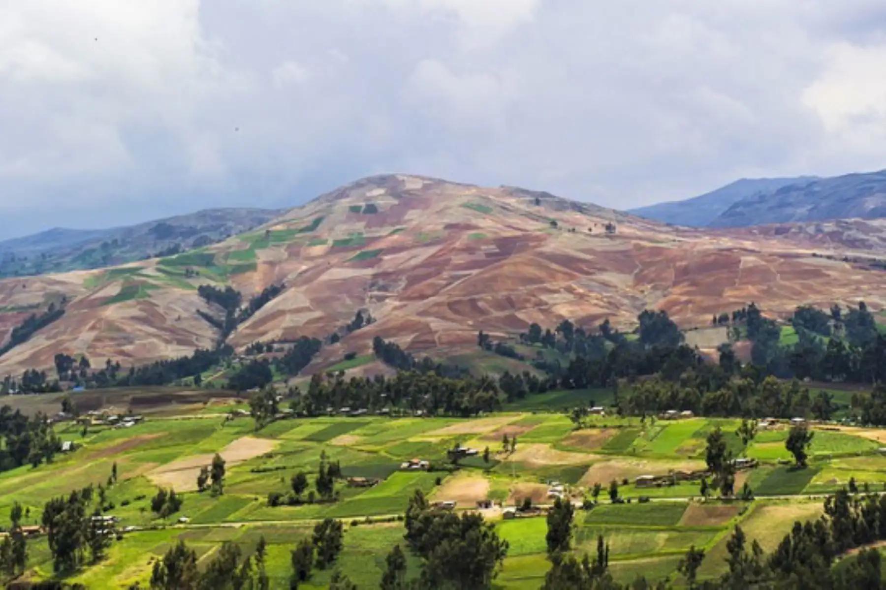 Los gobiernos regionales de Amazonas, Ayacucho, Callao, Cajamarca, Cusco, Huancavelica, Huánuco, Junín, Lambayeque, Madre de Dios, Moquegua, Piura, Puno, San Martín, Ucayali y Tacna ya cuentan con ZEE aprobada. Foto: ANDINA/MInam