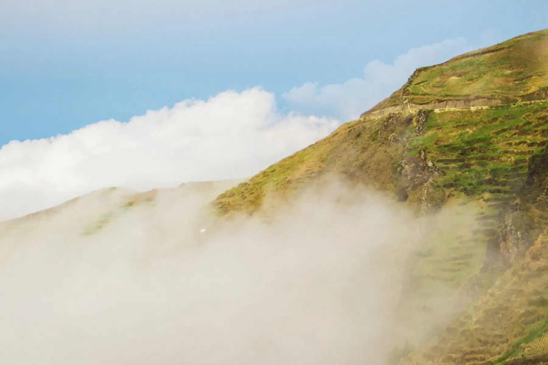 Hoy el Perú recibe una excelente noticia para la conservación de su legado natural y la
promoción de una gestión integrada de su territorio, y es que la Organización de las Naciones
Unidas para la Educación, la Ciencia y la Cultura (UNESCO) reconoció a Bosques de Neblina -
Selva Central como la sexta Reserva de Biosfera en nuestro país. Foto: SERNANP