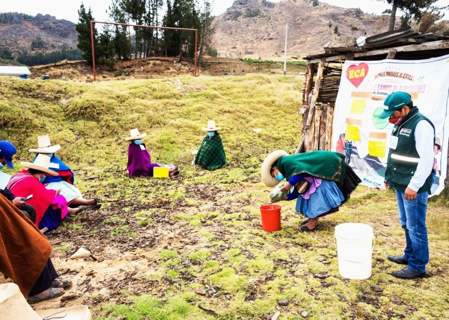 Especialistas del Senasa promueven buenas prácticas agrícolas en pequeños productores de Cajamarca para mejorar calidad de cultivos. ANDINA/Difusión