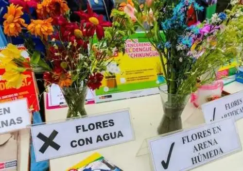 El Ministerio de Salud recomienda evitar colocar floreros con agua durante las celebraciones por el Día de los Muertos para prevenir la presencia del zancudo transmisor del dengue.