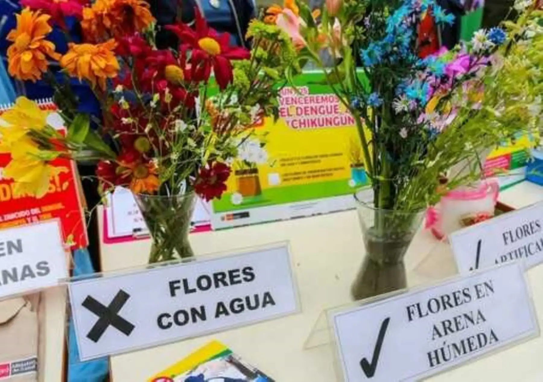 El Ministerio de Salud recomienda evitar colocar floreros con agua durante las celebraciones por el Día de los Muertos para prevenir la presencia del zancudo transmisor del dengue.