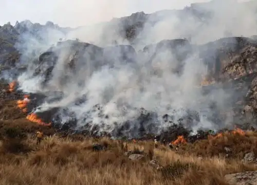 Incendio forestal consume 20 hectáreas de cobertura natural en la provincia de Antonio Raimondi, en la sierra de Áncash. ANDINA/Difusión