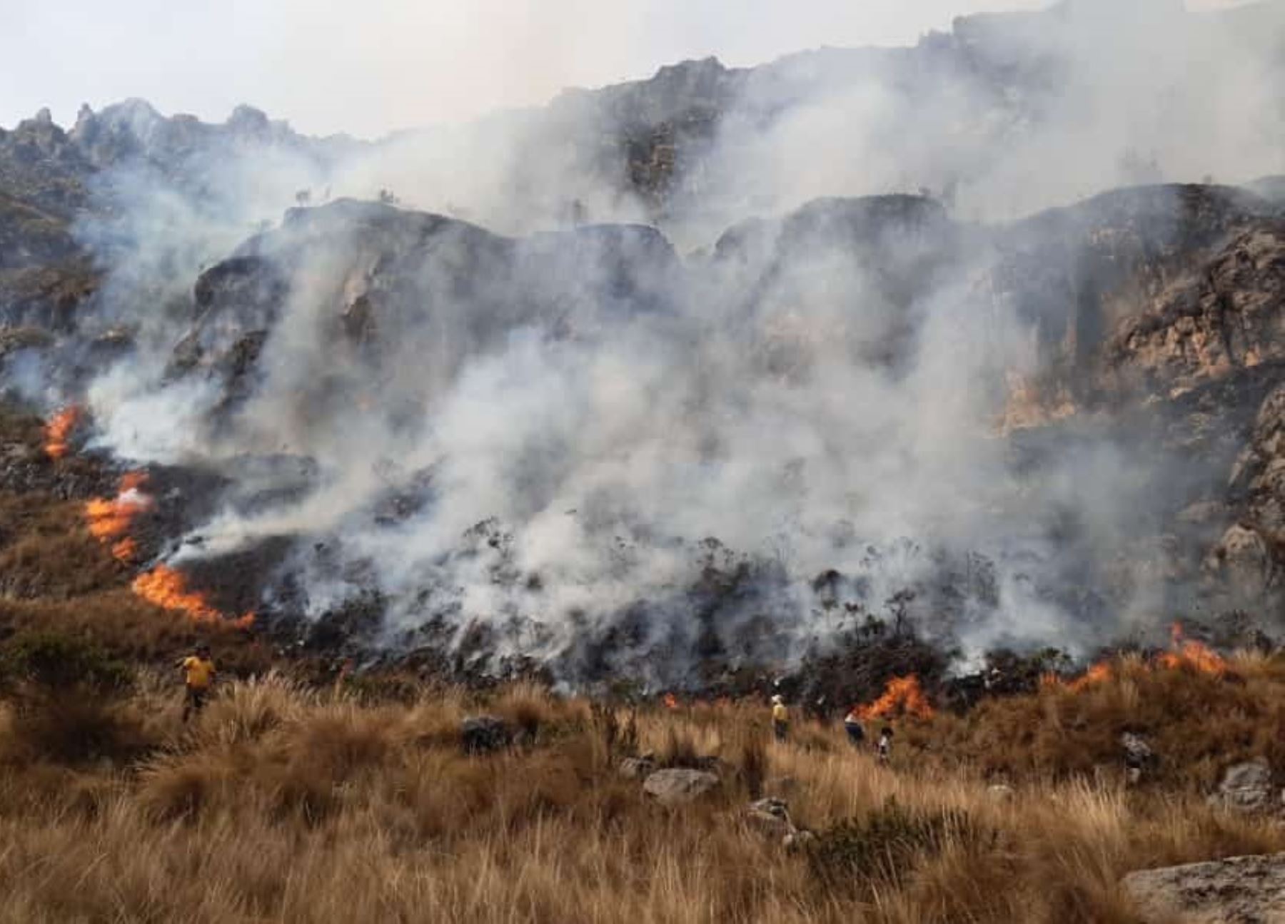 Incendio forestal consume 20 hectáreas de cobertura natural en la provincia de Antonio Raimondi, en la sierra de Áncash. ANDINA/Difusión