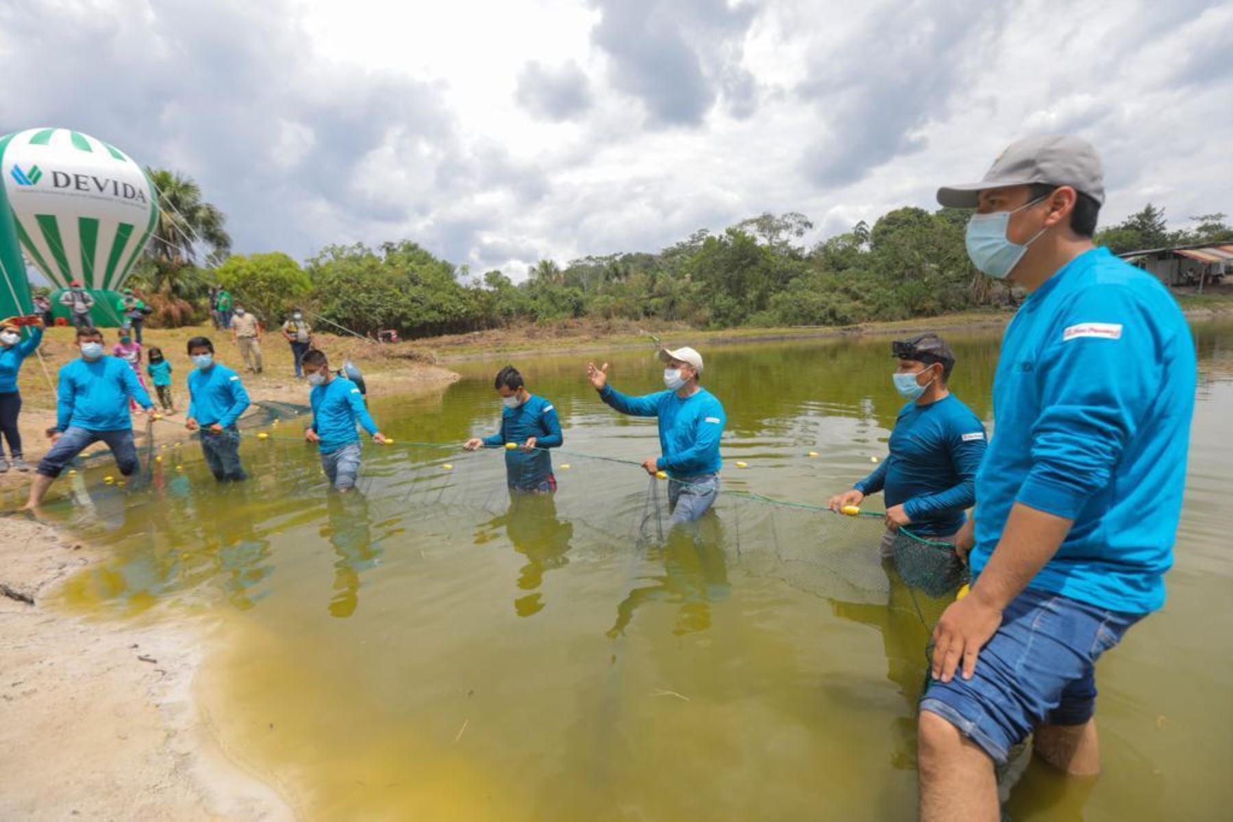 Las actividades acuícolas son financiadas por Devida, a través de los mencionados gobiernos locales, con casi 2 millones de soles. Se han implementado 70 módulos para producir 60 mil kilos de peces amazónicos por campaña. Foto: Devida