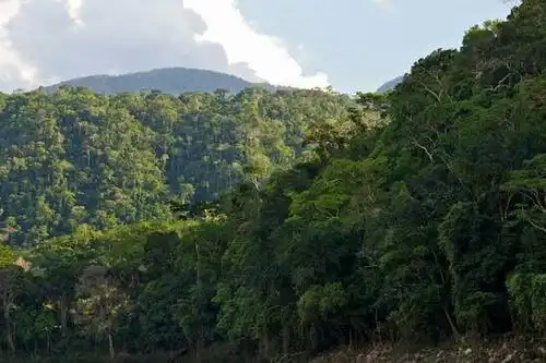 Dicho documento permitirá la toma de decisiones en temáticas ambiental, territorial y social. ANDINA/Difusión